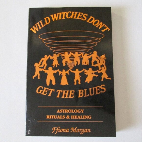 Wild Witches Don't Get The Blues Paperback Book Ffiona Morgan Wicca 1991 - Picture 1 of 9